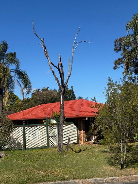 A terracotta roof on a low set home